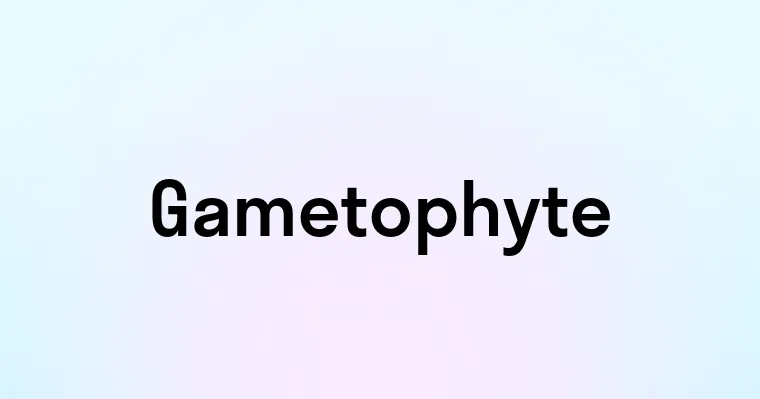 Gametophyte