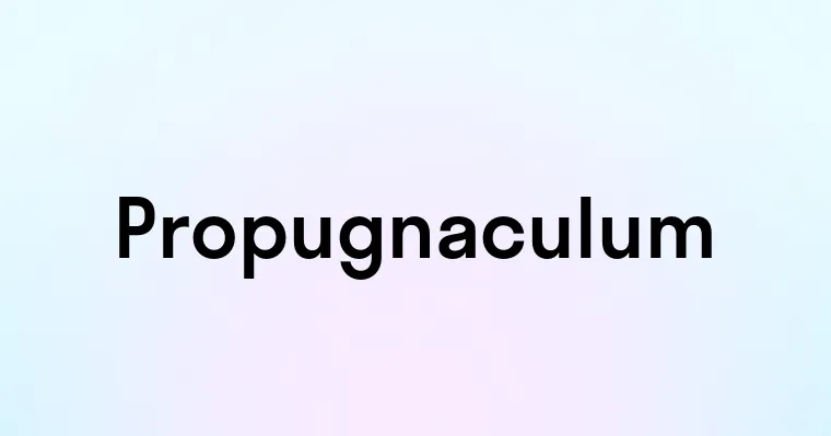 Propugnaculum