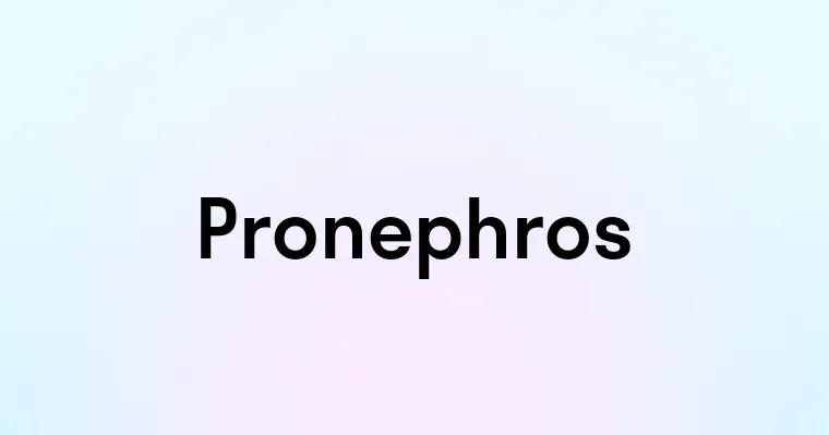 Pronephros