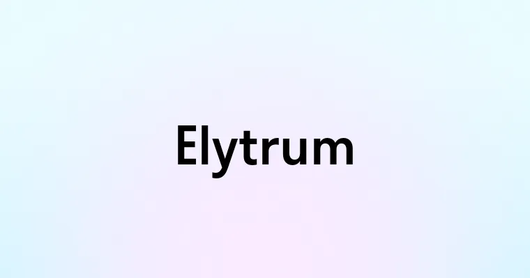 Elytrum