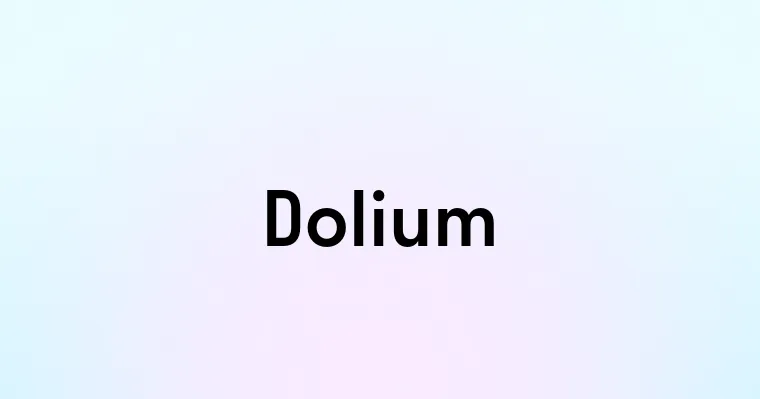 Dolium