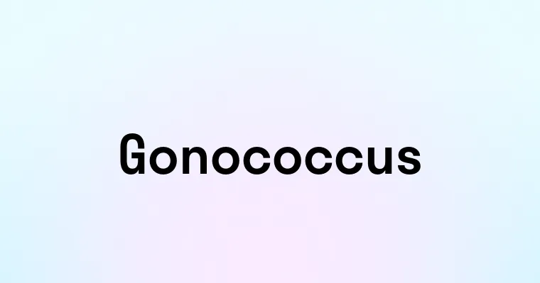 Gonococcus