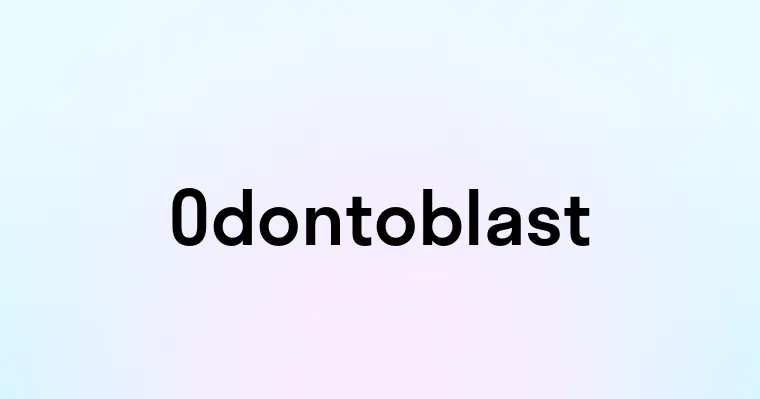 Odontoblast