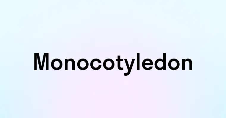 Monocotyledon