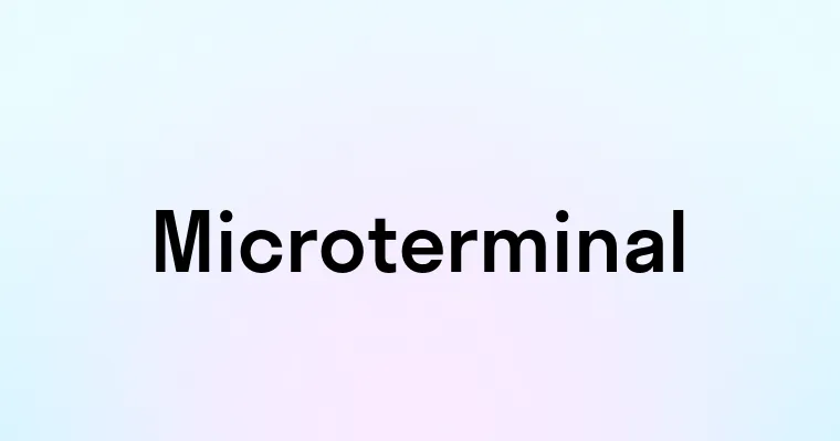 Microterminal