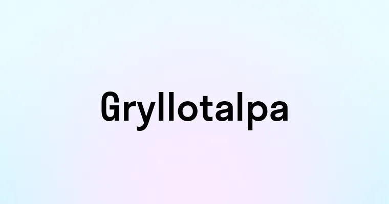 Gryllotalpa