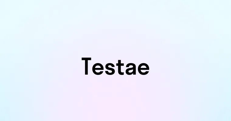 Testae