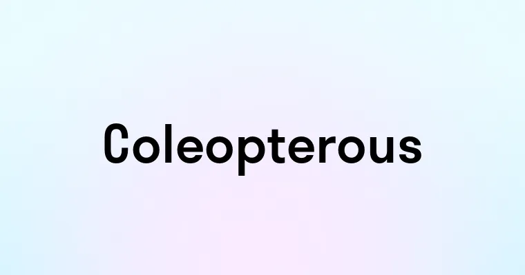 Coleopterous