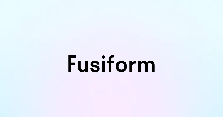 Fusiform