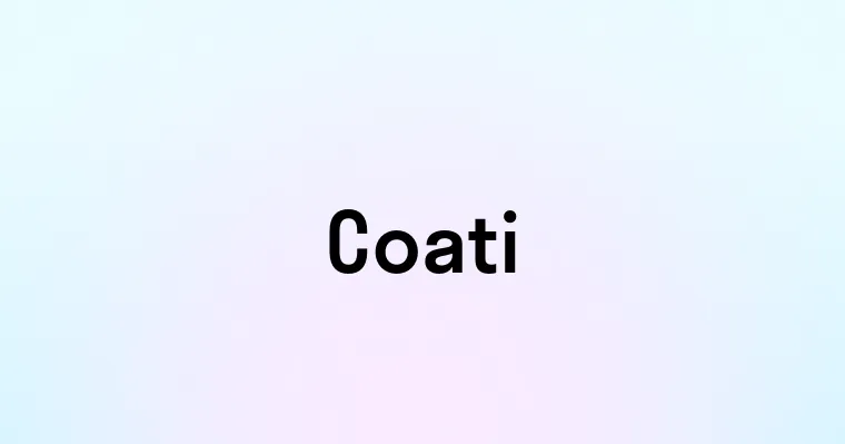 Coati