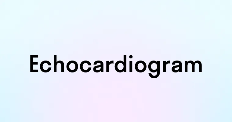 Echocardiogram