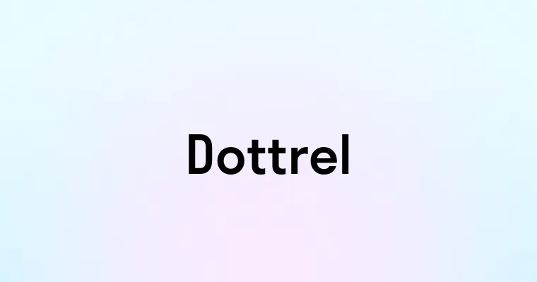 Dottrel