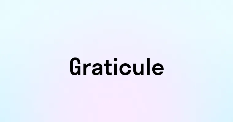 Graticule