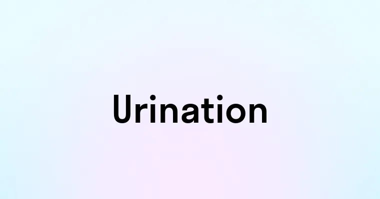 Urination