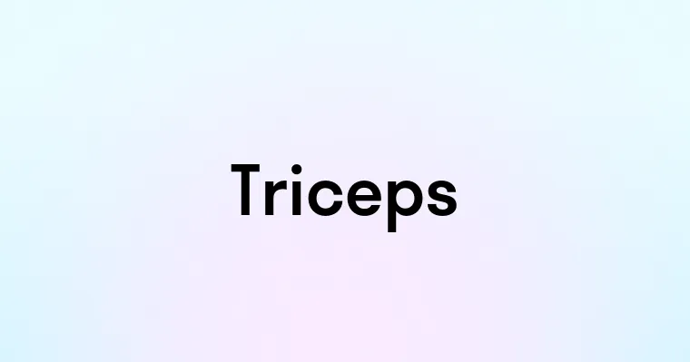 Triceps