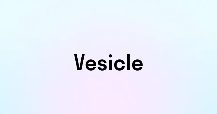 Vesicle