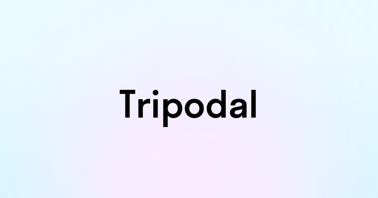 Tripodal