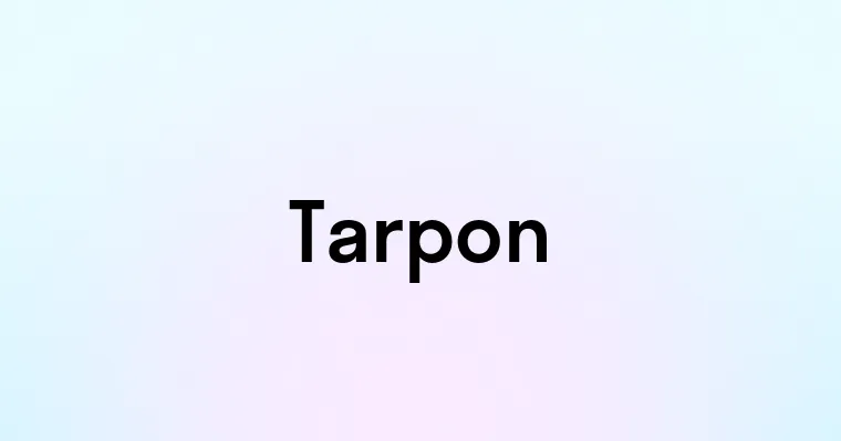 Tarpon