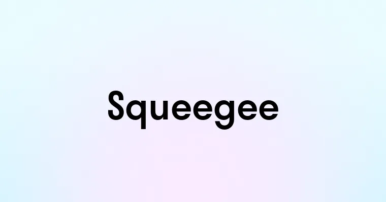 Squeegee