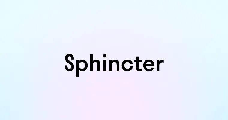 Sphincter