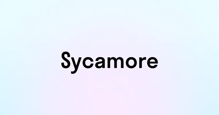 Sycamore