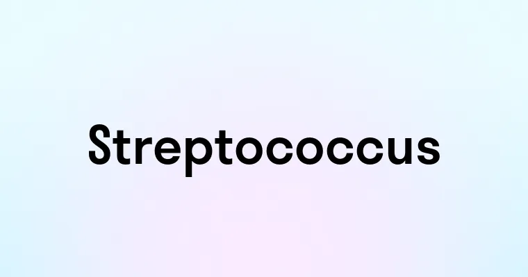 Streptococcus