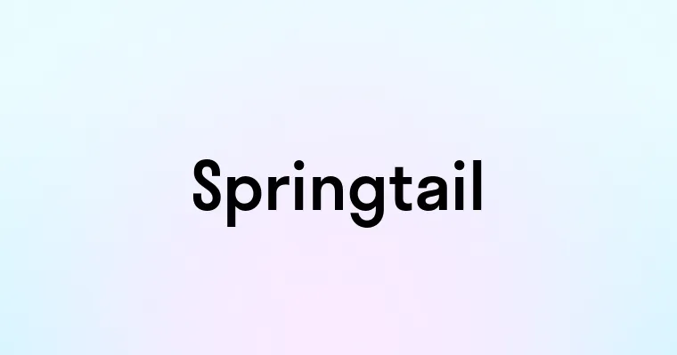 Springtail