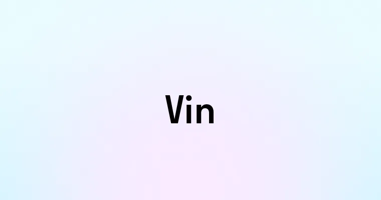 Vin