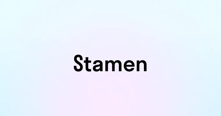 Stamen