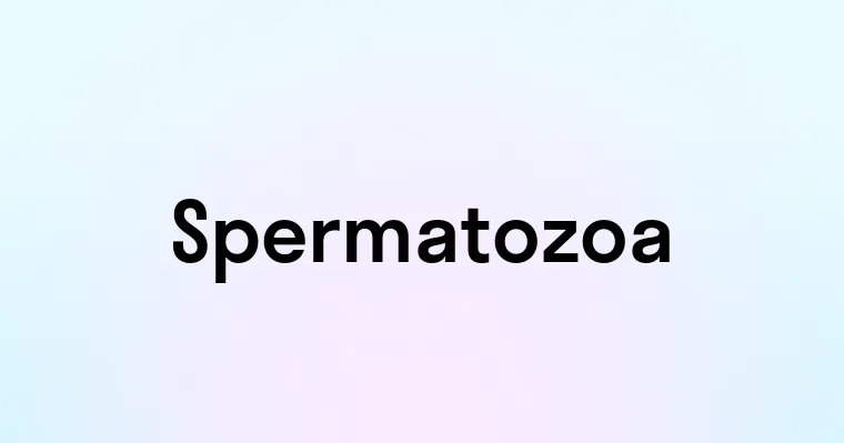 Spermatozoa