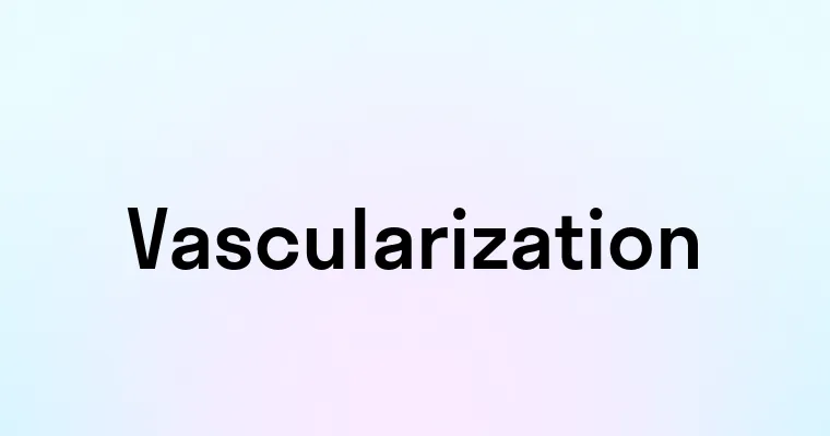 Vascularization