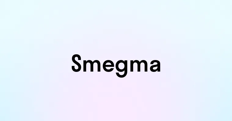 Smegma