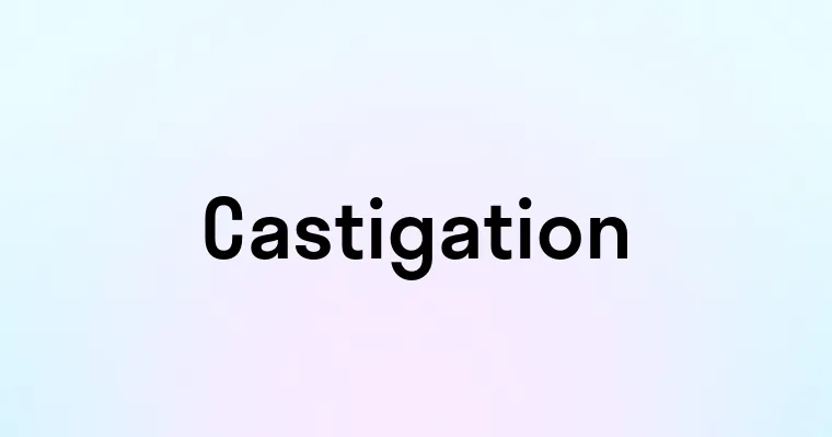 Castigation — перевод, транскрипция, произношение и примеры