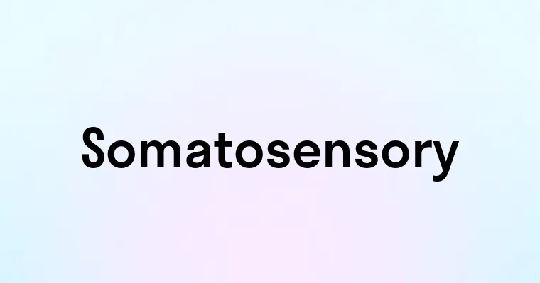 Somatosensory