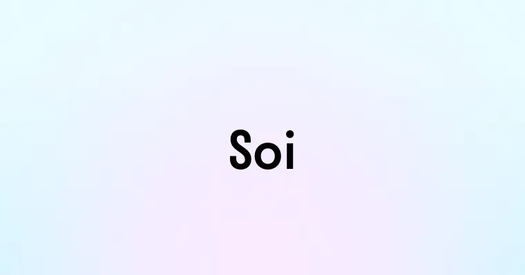 Soi