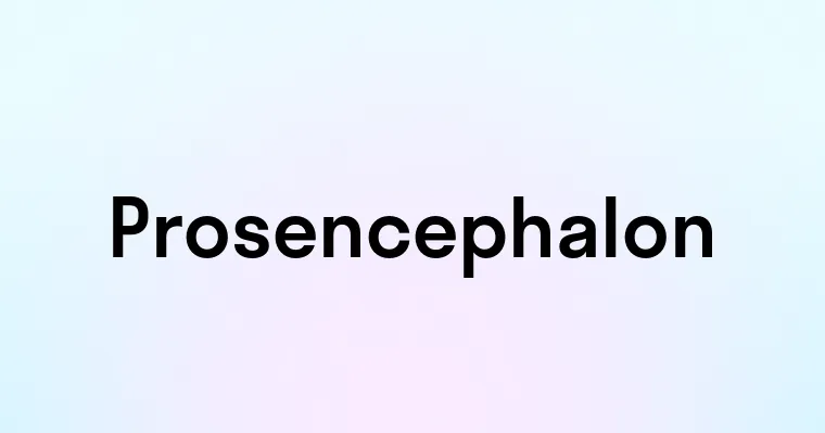 Prosencephalon