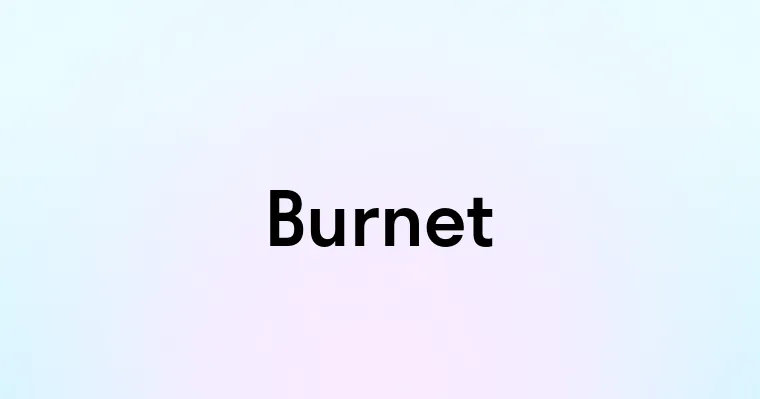 Burnet