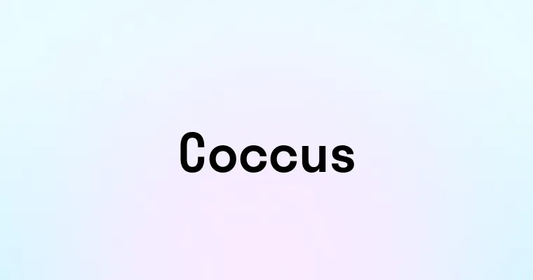 Coccus