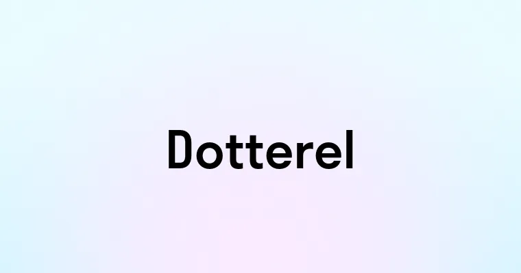 Dotterel