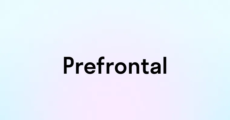 Prefrontal