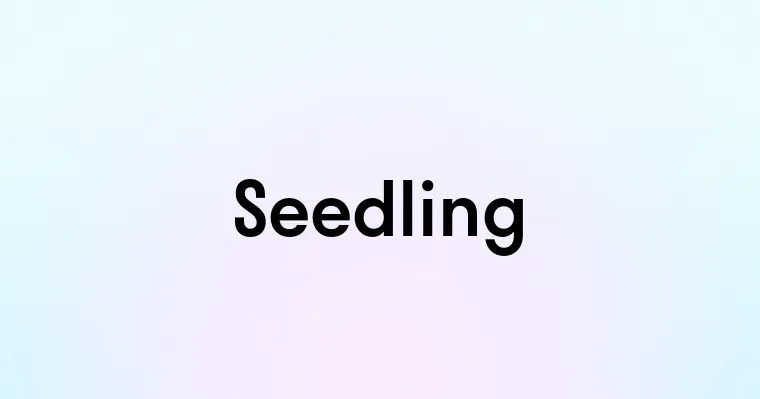 Seedling