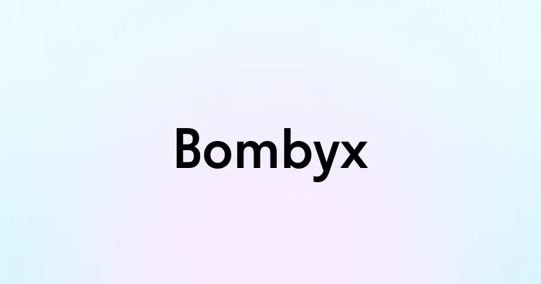 Bombyx