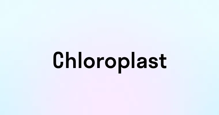 Chloroplast