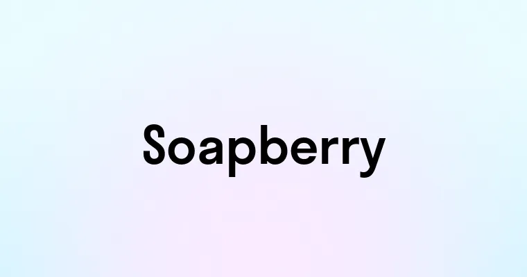 Soapberry