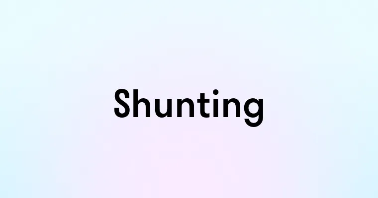 Shunting