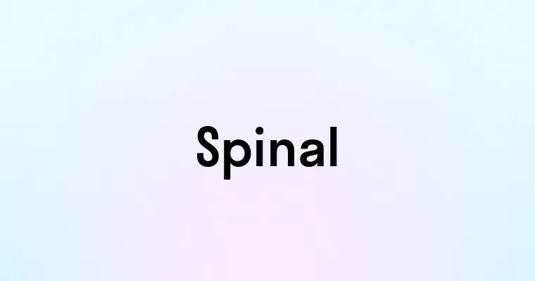 Spinal