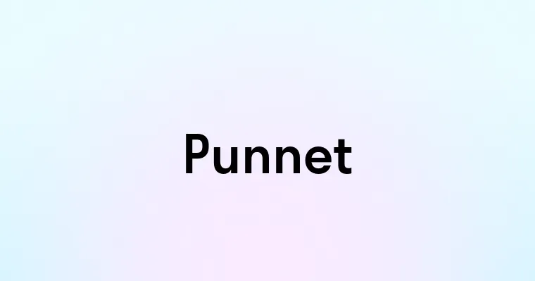 Punnet