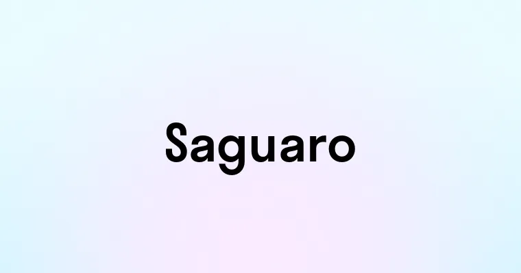 Saguaro