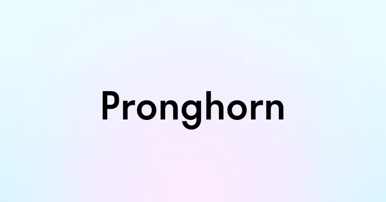 Pronghorn