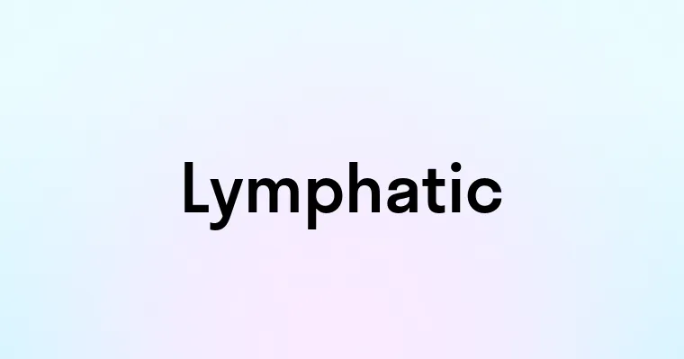 Lymphatic